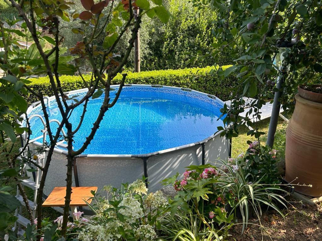 Casa Anna A Pietrasanta In Toscana Con Piscina Bagian luar foto