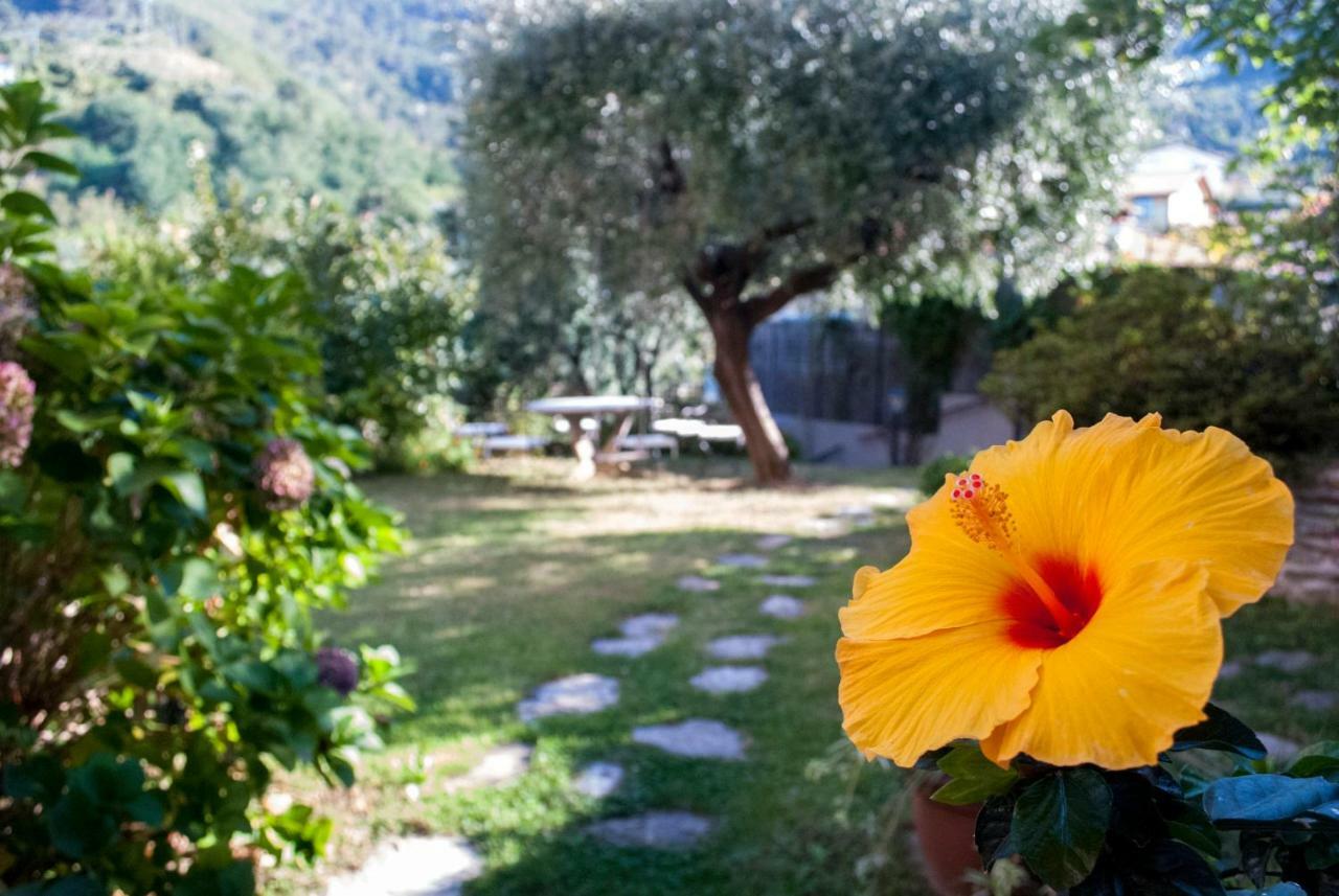 Casa Anna A Pietrasanta In Toscana Con Piscina Bagian luar foto